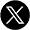 x icon